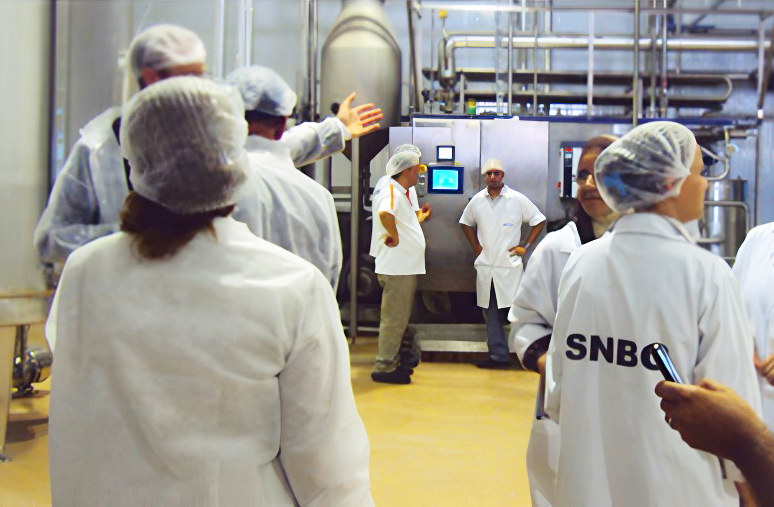 Production SNBG