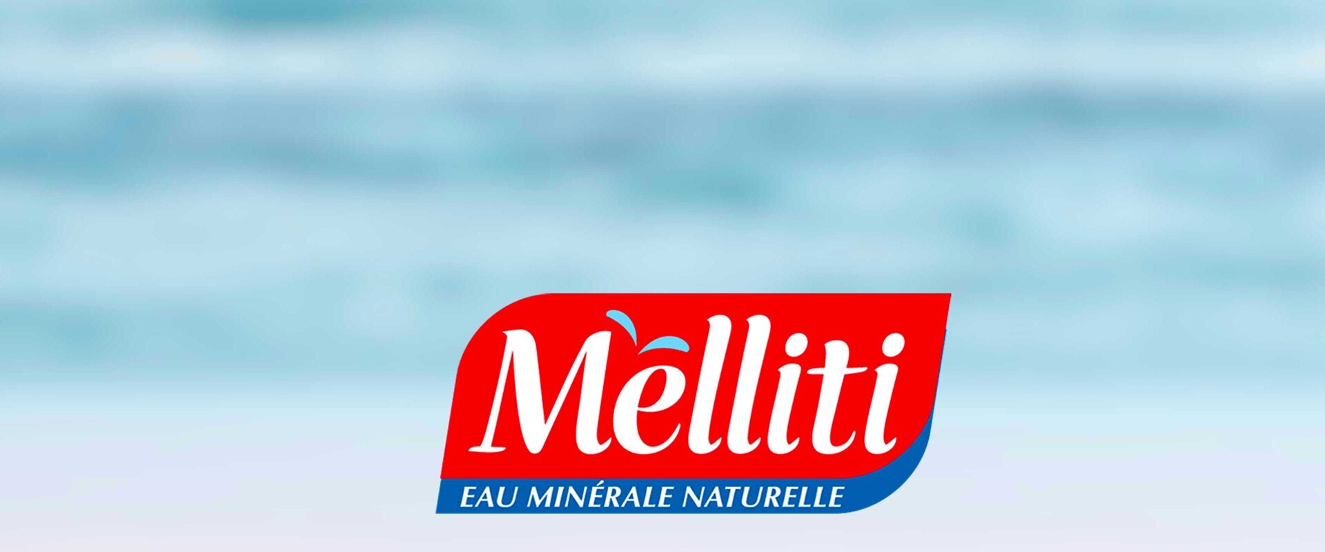 Melliti mer floue logo